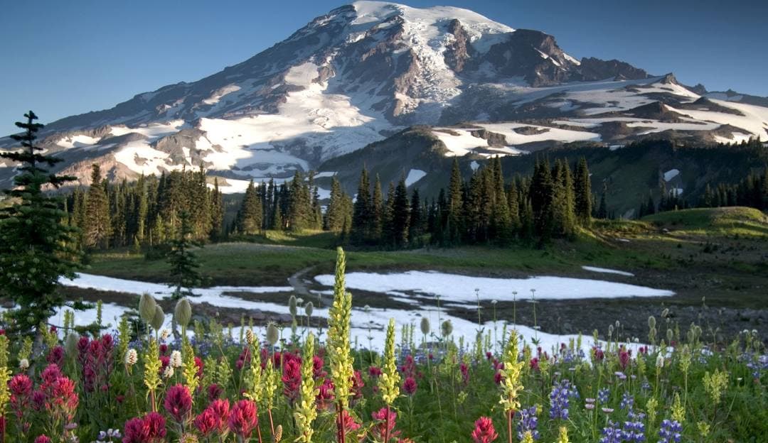 Mount Rainer