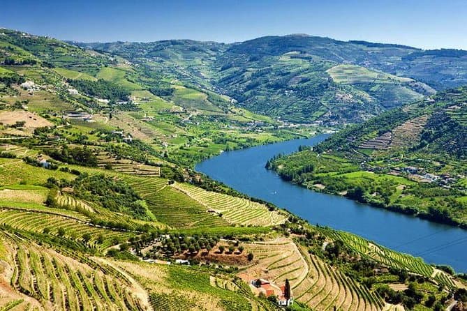 Douro Valley Wine Tour