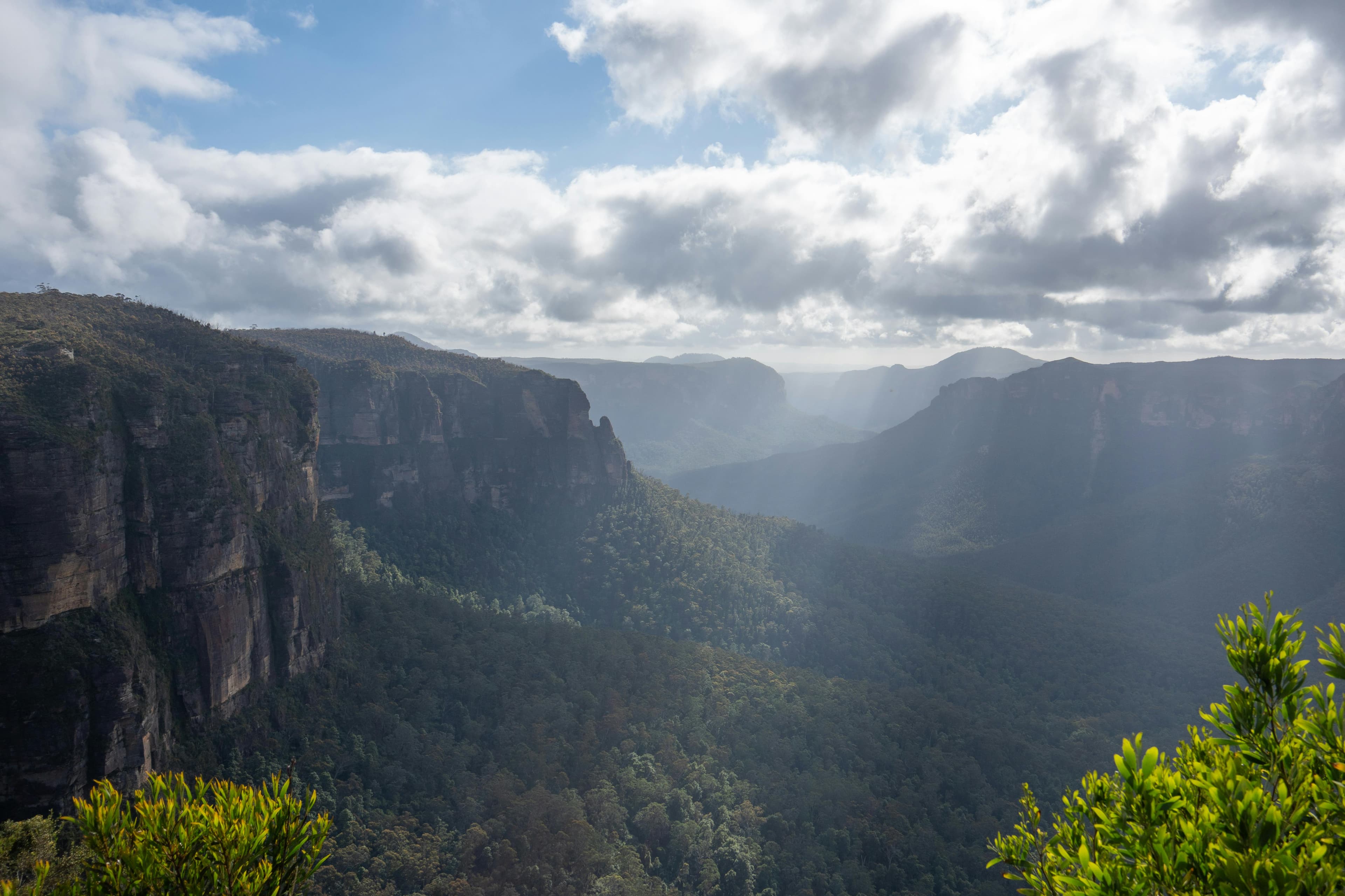 Explore the Blue Mountains on a budget with our guide. Discover must-see lookouts, hikes, hidden gems, and how to get there cheaply with Imoova relocations.