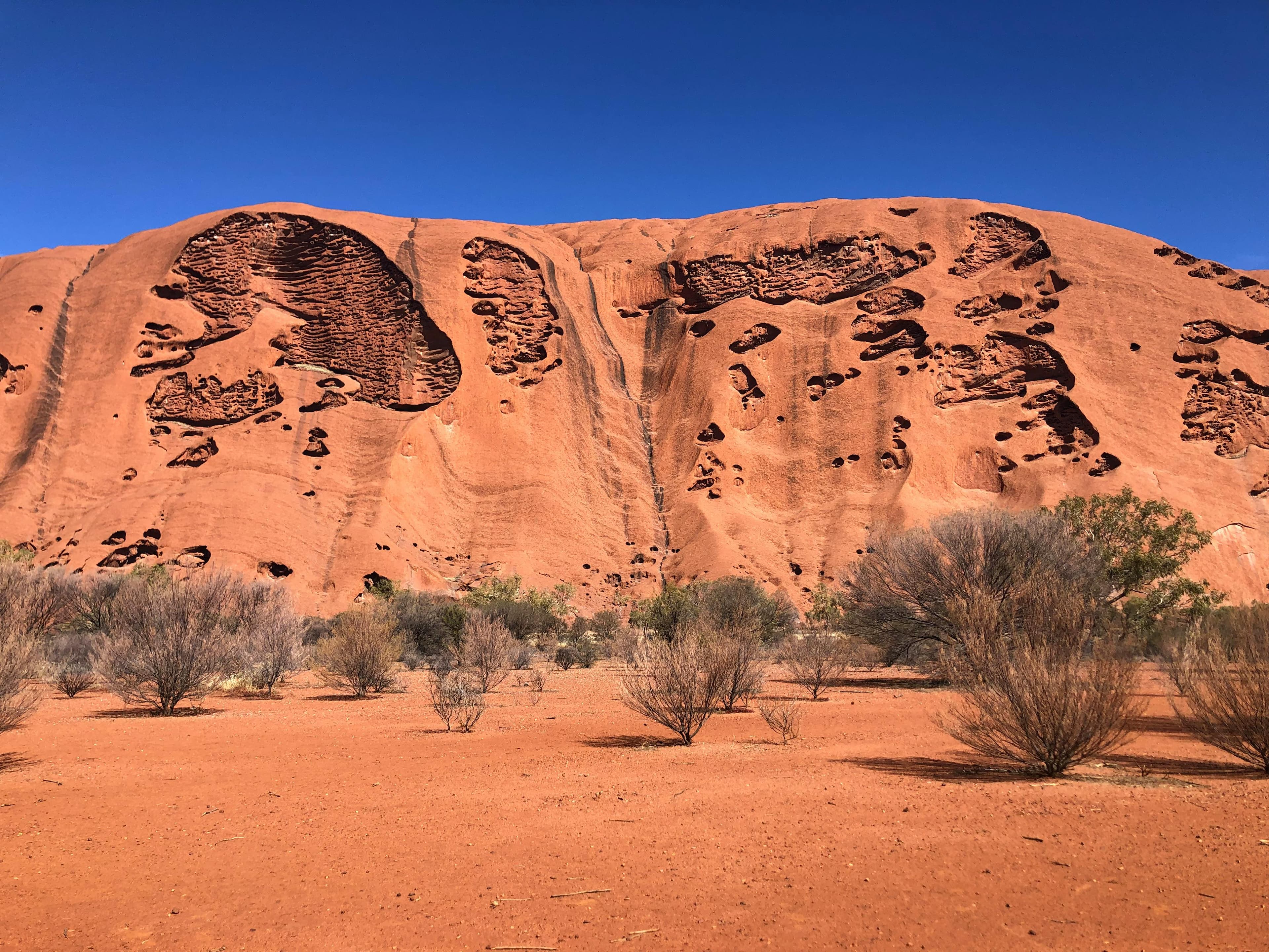 Discover Australia’s best national parks, from Uluru to Kakadu & beyond. See top attractions, must-do activities, and how to visit on a budget with Imoova.